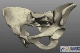 ZBrush骨骼建模教学