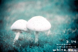 蓝青色写意图片如何在PS中调出？