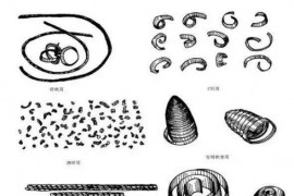 小切屑，大学问—金属切削分类及切屑控制！