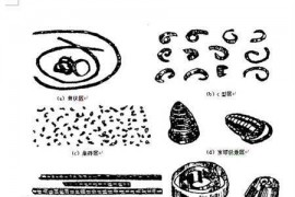 刀具断屑不可靠的原因分析及解决方法（图文教程）