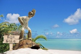 3dMax制作幽默海龟(图文教程)