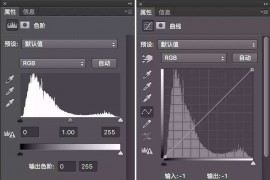 PS哪些功能最常用？