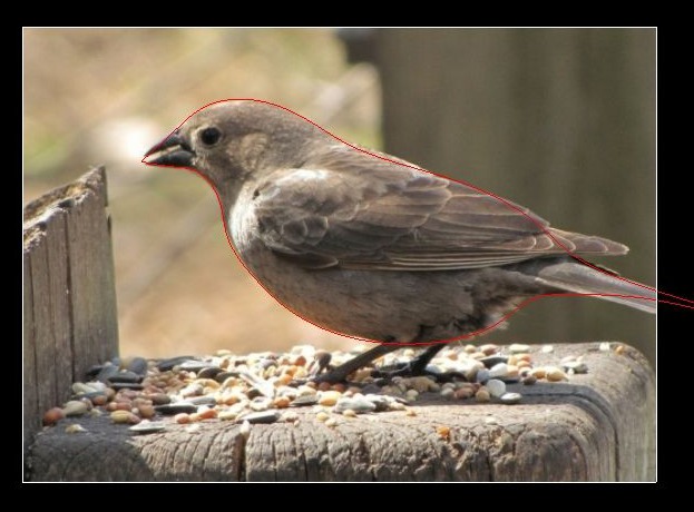 AutoCAD画小鸟三维模型教程(图文教程),三维,教程,模型,AutoCAD,第17张 AutoCAD画小鸟三维模型教程(图文教程),17.JPG,三维,教程,模型,AutoCAD,第17张