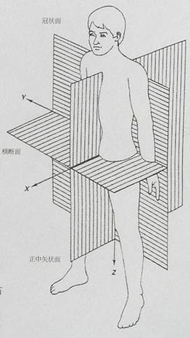 人体工程学基础-3、人体测量与人体尺寸(图文教程),尺寸,第1张 人体工程学基础-3、人体测量与人体尺寸(图文教程),P4240003,尺寸,第1张