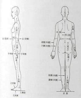 人体工程学基础-3、人体测量与人体尺寸(图文教程),尺寸,第3张 人体工程学基础-3、人体测量与人体尺寸(图文教程),P4240004,尺寸,第3张