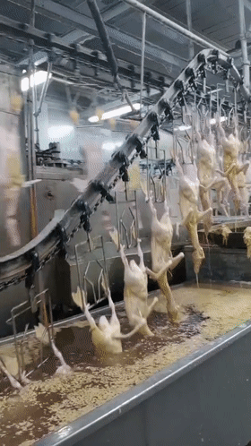 马桶堵了如何吸出来?34个机械原理、设计动画来了1、马桶疏通器原理:2、高频变压器绕组自动化生产:3、伺服电缸高负载、大推力、高精度、易维护,应用广泛:4、小型土豆收获机:5、郎酒瓶子制作工艺:6、陶瓷杯自动化生产:7、液压奶酪切割机:8、自动化摊煎饼:9、蔬菜丸子制作过程:10、自动化包子机:11、万能清扫器:12、快速部署战场铁丝网防御线:13、手持式自动螺丝机:14、自由弯管机:15、滚动式捡果器:16、铜管折弯过程,谁知道为什么不瘪:17、自动化攻丝机:18、45度管接头滚牙:19、食品,第19张 马桶堵了如何吸出来?34个机械原理、设计动画来了1、马桶疏通器原理:2、高频变压器绕组自动化生产:3、伺服电缸高负载、大推力、高精度、易维护,应用广泛:4、小型土豆收获机:5、郎酒瓶子制作工艺:6、陶瓷杯自动化生产:7、液压奶酪切割机:8、自动化摊煎饼:9、蔬菜丸子制作过程:10、自动化包子机:11、万能清扫器:12、快速部署战场铁丝网防御线:13、手持式自动螺丝机:14、自由弯管机:15、滚动式捡果器:16、铜管折弯过程,谁知道为什么不瘪:17、自动化攻丝机:18、45度管接头滚牙:19、食品,马桶堵了如何吸出来?34个机械原理、设计动画来了,直观易懂,第19张