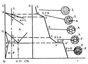 机械制造工程_2.4铁碳合金及其平衡状态图(图文教程),机械制造工程_2.4铁碳合金及其平衡状态图,第11张