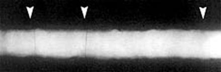 常见的焊接缺陷（图文教程）,常见的焊接缺陷,缺陷,教程,第9张