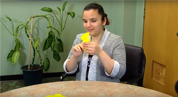 3D打印帮盲人员工感知现实对象（图文教程）,3D打印帮盲人员工感知现实对象,对象,第3张