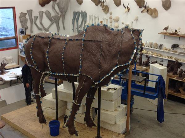 3D打印如何帮助艺术家创作大型雕塑(图文教程),模型,第6张 3D打印如何帮助艺术家创作大型雕塑(图文教程),3D打印如何帮助艺术家创作大型雕塑,模型,第6张