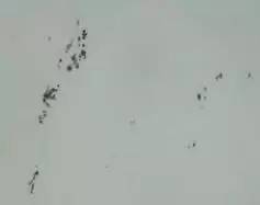 轮齿折断的原因(图文教程),要求,这个,如图,第4张 轮齿折断的原因(图文教程),轮齿折断的原因,要求,这个,如图,第4张