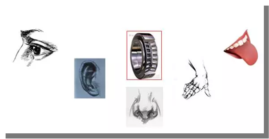 如何听音辨别轴承异常(图文教程),产品,采用,结构,第1张 如何听音辨别轴承异常(图文教程),如何听音辨别轴承异常,产品,采用,结构,第1张