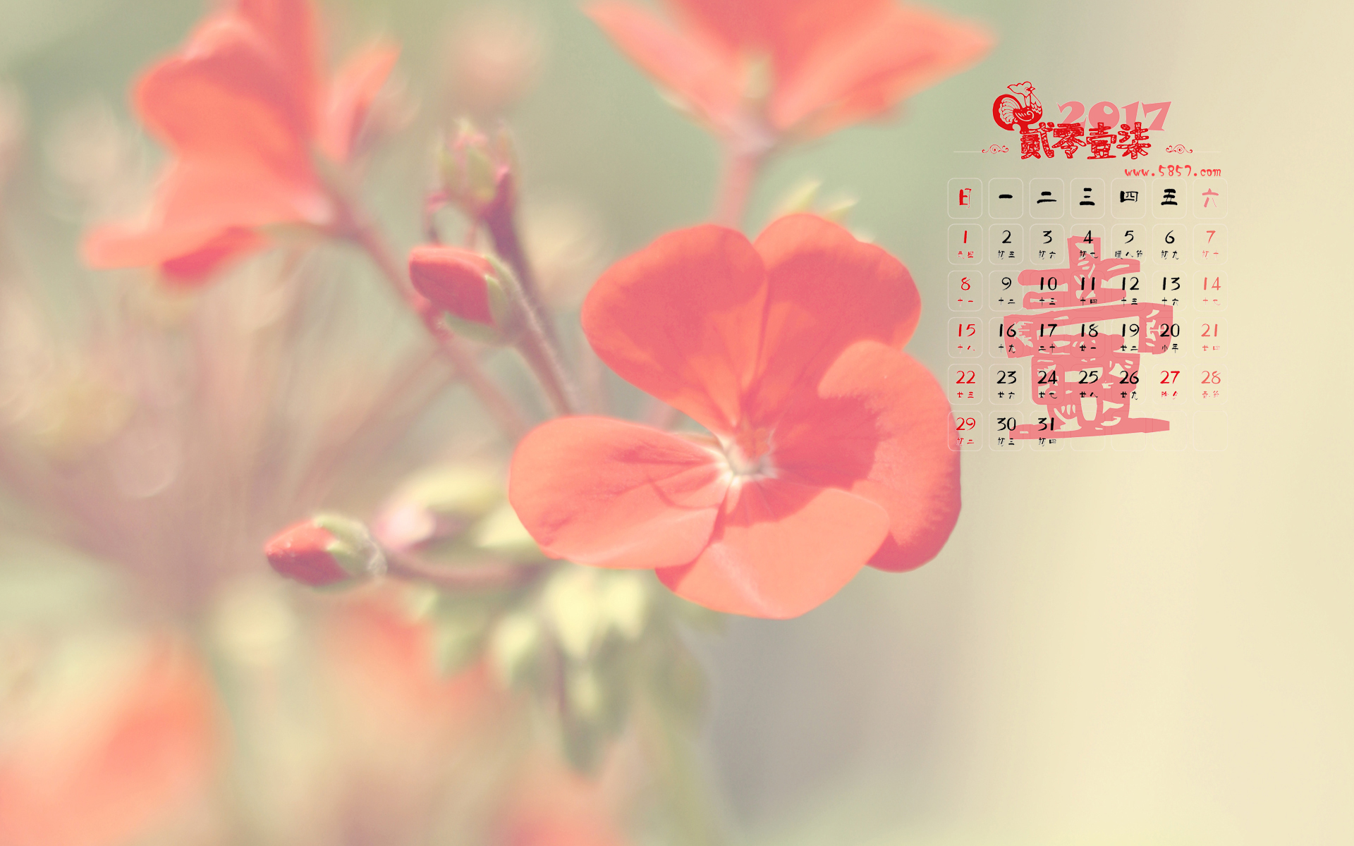 2017年日历可爱唯美图片高清图片(图文教程),2017年1月日历可爱唯美图片高清壁纸,图片,第5张