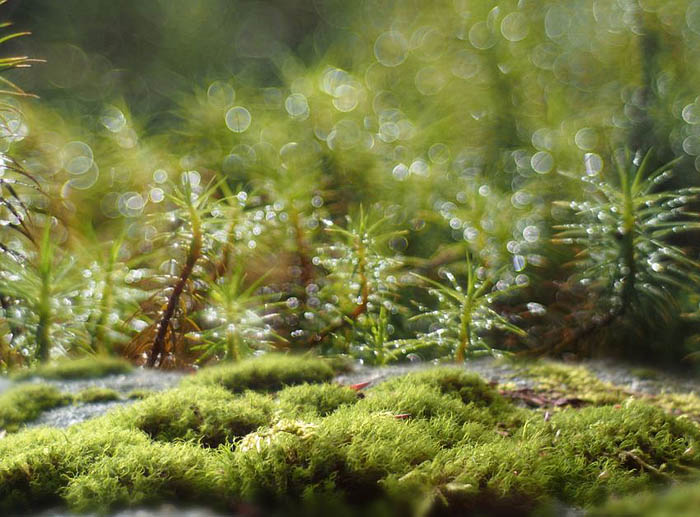 PS合成蜗牛背上的梦幻房子教程(图文教程),PS合成蜗牛背上的梦幻房子教程,选择,直径,形状,第10张