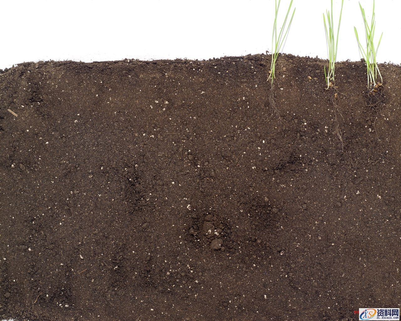 Photoshop制作浪漫的超现实情人节海报教程(图文教程),产品,步骤,角度,第13张 Photoshop制作浪漫的超现实情人节海报教程(图文教程),Photoshop制作浪漫的超现实情人节海报教程,产品,步骤,角度,第13张