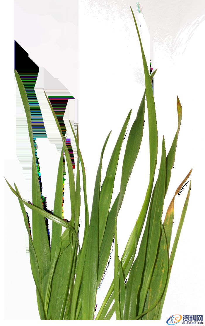 PS合成小孩走入奇幻森林场景教程(图文教程),PS合成小孩走入奇幻森林场景教程,设计,一般,选择,第56张