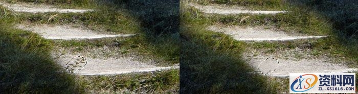 PS合成小孩走入奇幻森林场景教程(图文教程),PS合成小孩走入奇幻森林场景教程,设计,一般,选择,第46张