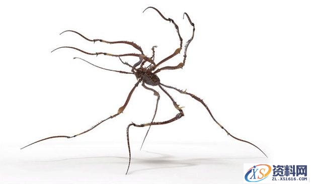 3dMax制作不可思议的湿地场景(图文教程),选择,文件,这个,第8张 3dMax制作不可思议的湿地场景(图文教程),3dMax制作不可思议的湿地场景,选择,文件,这个,第8张