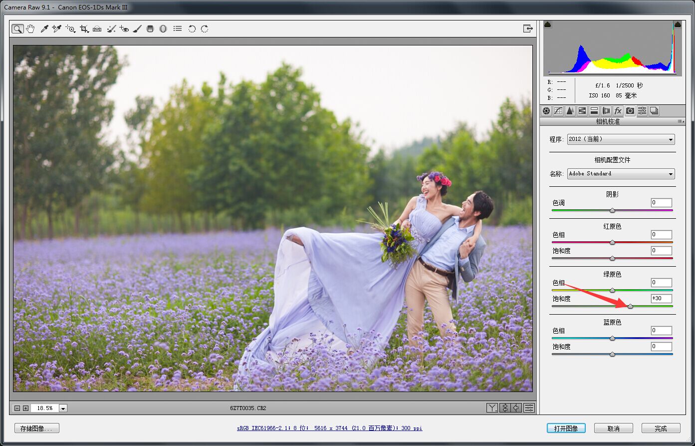 PS婚片后期——外景花海薰衣草(图文教程),用于,这个,什么,第3张 PS婚片后期——外景花海薰衣草(图文教程),PS婚片后期——外景花海薰衣草,用于,这个,什么,第3张
