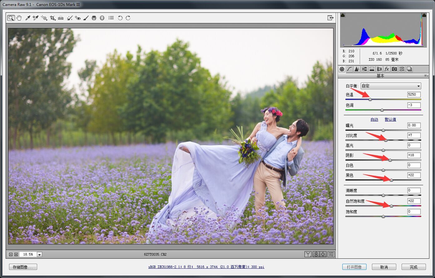 PS婚片后期——外景花海薰衣草(图文教程),用于,这个,什么,第2张 PS婚片后期——外景花海薰衣草(图文教程),PS婚片后期——外景花海薰衣草,用于,这个,什么,第2张
