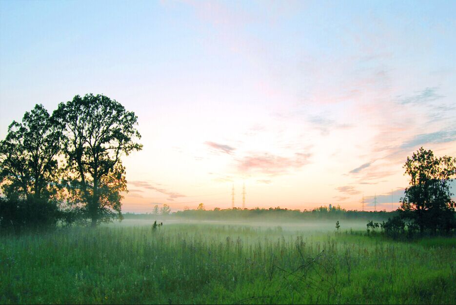 PS婚片后期——外景花海薰衣草(图文教程),用于,这个,什么,第13张 PS婚片后期——外景花海薰衣草(图文教程),PS婚片后期——外景花海薰衣草,用于,这个,什么,第13张