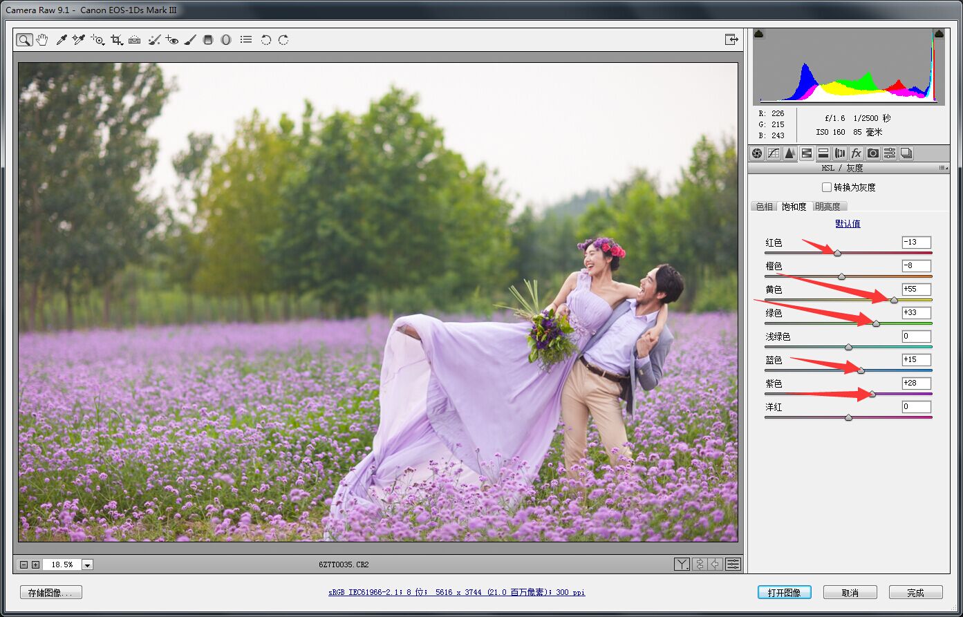 PS婚片后期——外景花海薰衣草(图文教程),用于,这个,什么,第6张 PS婚片后期——外景花海薰衣草(图文教程),PS婚片后期——外景花海薰衣草,用于,这个,什么,第6张