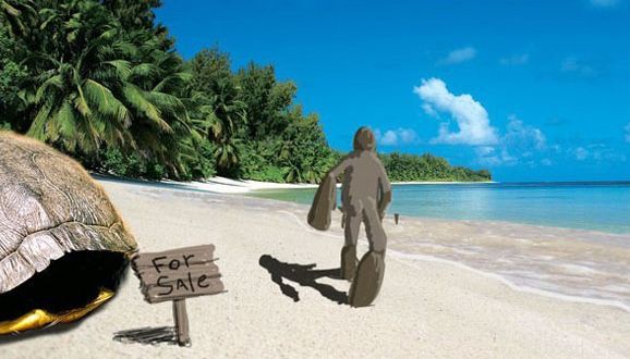 3dMax制作幽默海龟(图文教程),设计,一般,这个,第4张 3dMax制作幽默海龟(图文教程),3dMax制作幽默海龟,设计,一般,这个,第4张