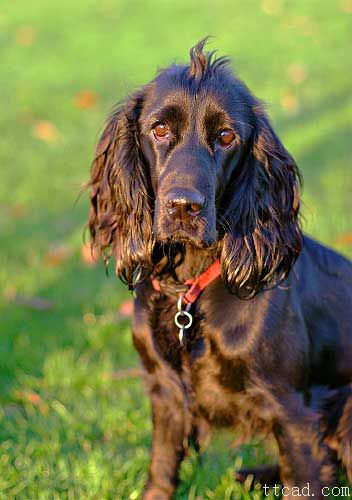 光线理论-自然光(图文教程),光线理论-自然光,结构,一般,这个,第9张