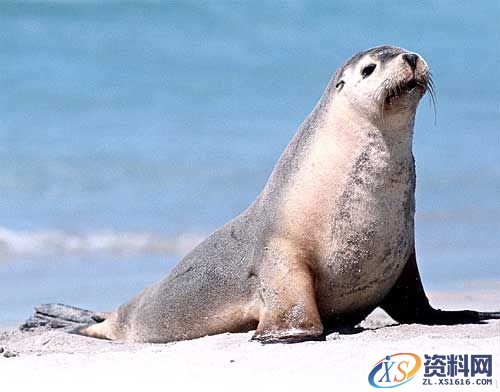 光线理论-自然光(图文教程),光线理论-自然光,结构,一般,这个,第4张