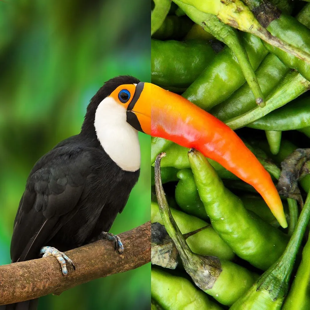 这些PS大神的设计的创意图片，你最佩服哪一张？这些PS大神的设计的创意图片，你最佩服哪一张？,这些PS大神的设计的创意图片，你最佩服哪一张？,设计,产品,模具,第1张