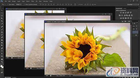 Photoshop经常崩溃解决技巧,防止ps软件崩溃的四个解决方法,要求,这个,文件,第3张 Photoshop经常崩溃解决技巧,防止ps软件崩溃的四个解决方法,要求,这个,文件,第3张