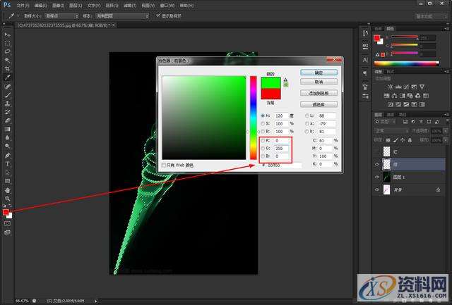 ps抠图详细教程:新手也能轻松掌握,选择,用于,步骤,第13张 ps抠图详细教程:新手也能轻松掌握,选择,用于,步骤,第13张