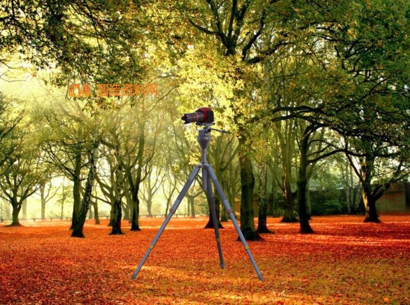 照相机云台和三脚架,NeadPay,第12张